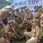 Tree Plantation Drive