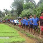 Wetland Sports