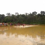 Wetland Sports