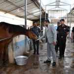 Visit_of_DirSSMS_2026_36