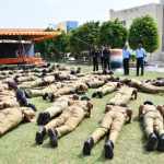 Farewell to 13 batch2026