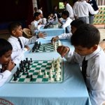 Chess Selection